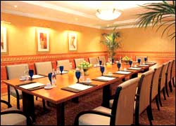 Millennium Airport Hotel
